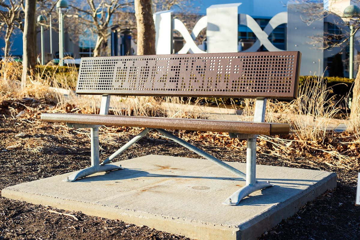 Channel Park Bench