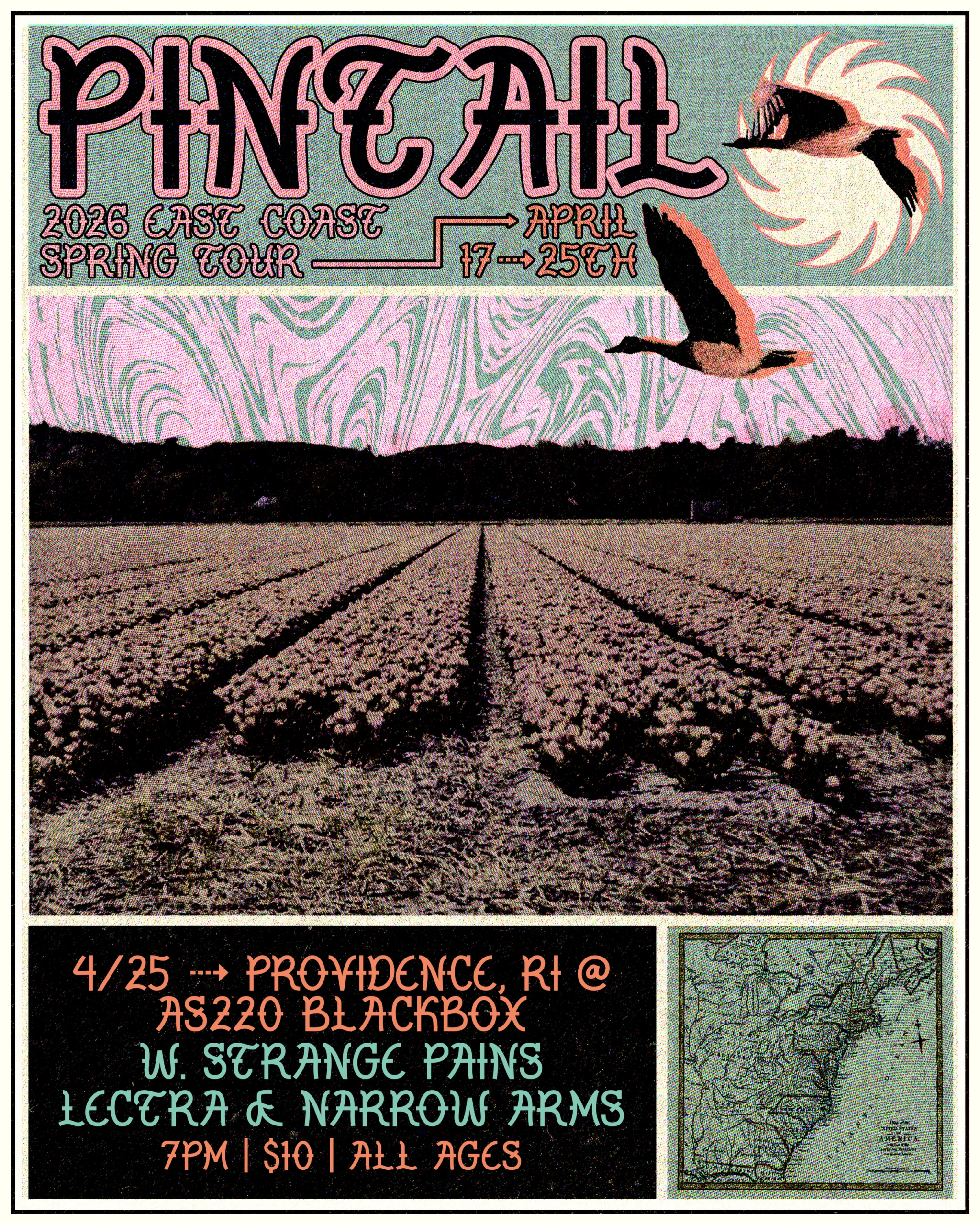 Pintail + Strange Pains + Lectra + Narrow Arms