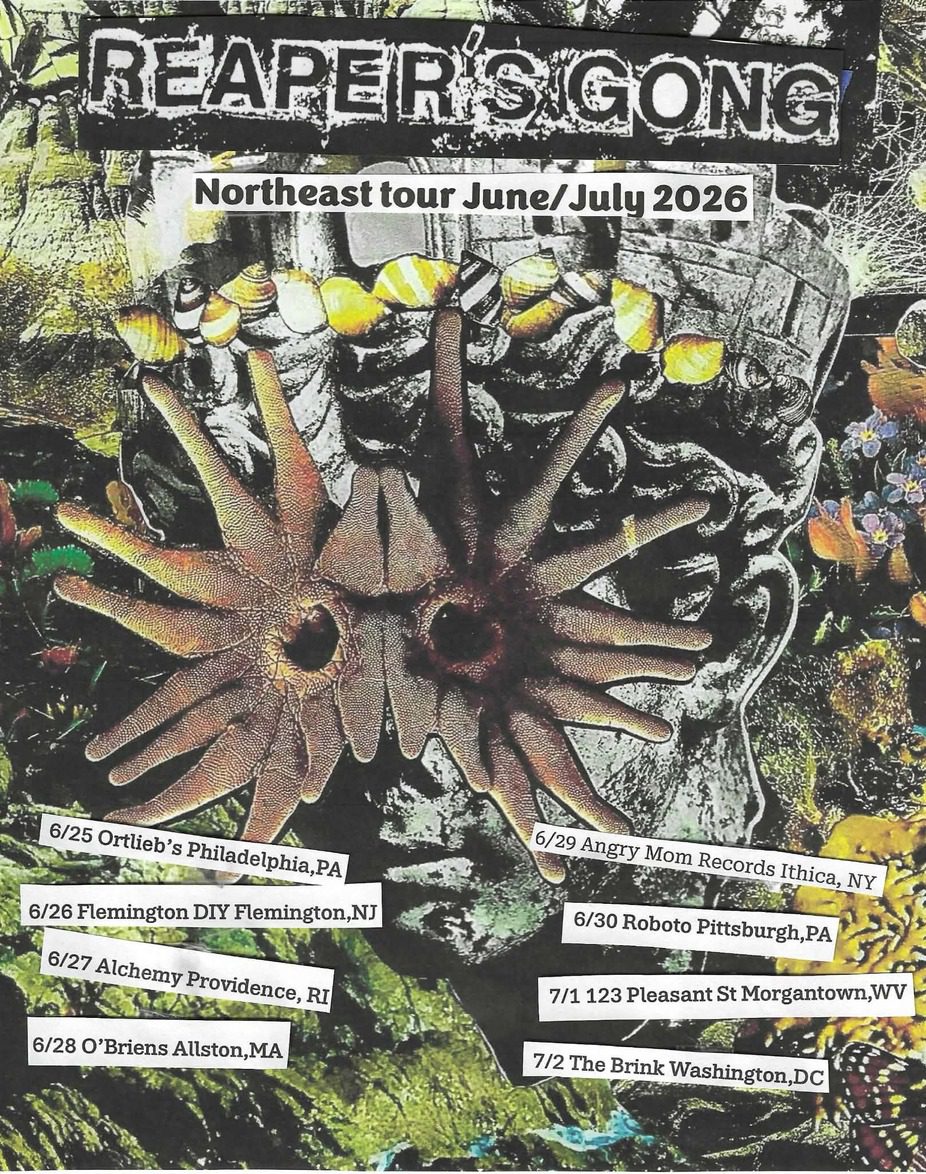 Reaper’s Gong, Razed, Dull Care