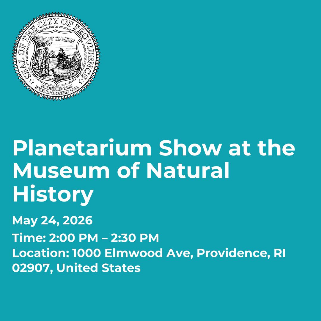 Planetarium Show at the Museum of Natural History