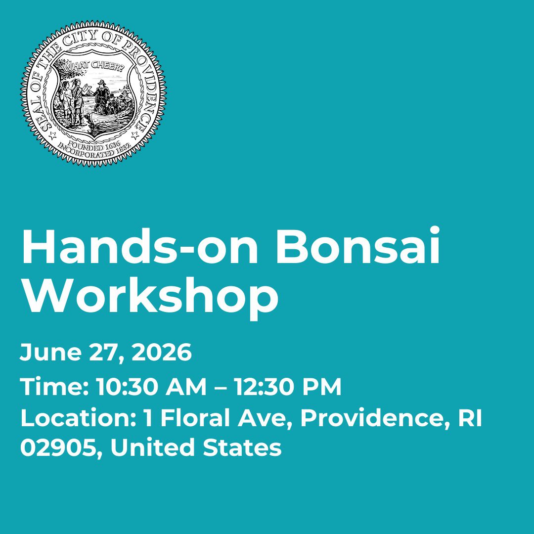 Hands-on Bonsai Workshop